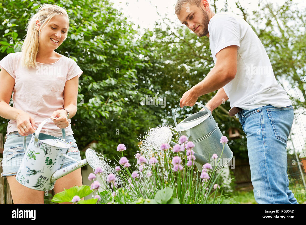 Junges Paar gießt die Blumen im Garten oder Zuteilungen Stockfoto