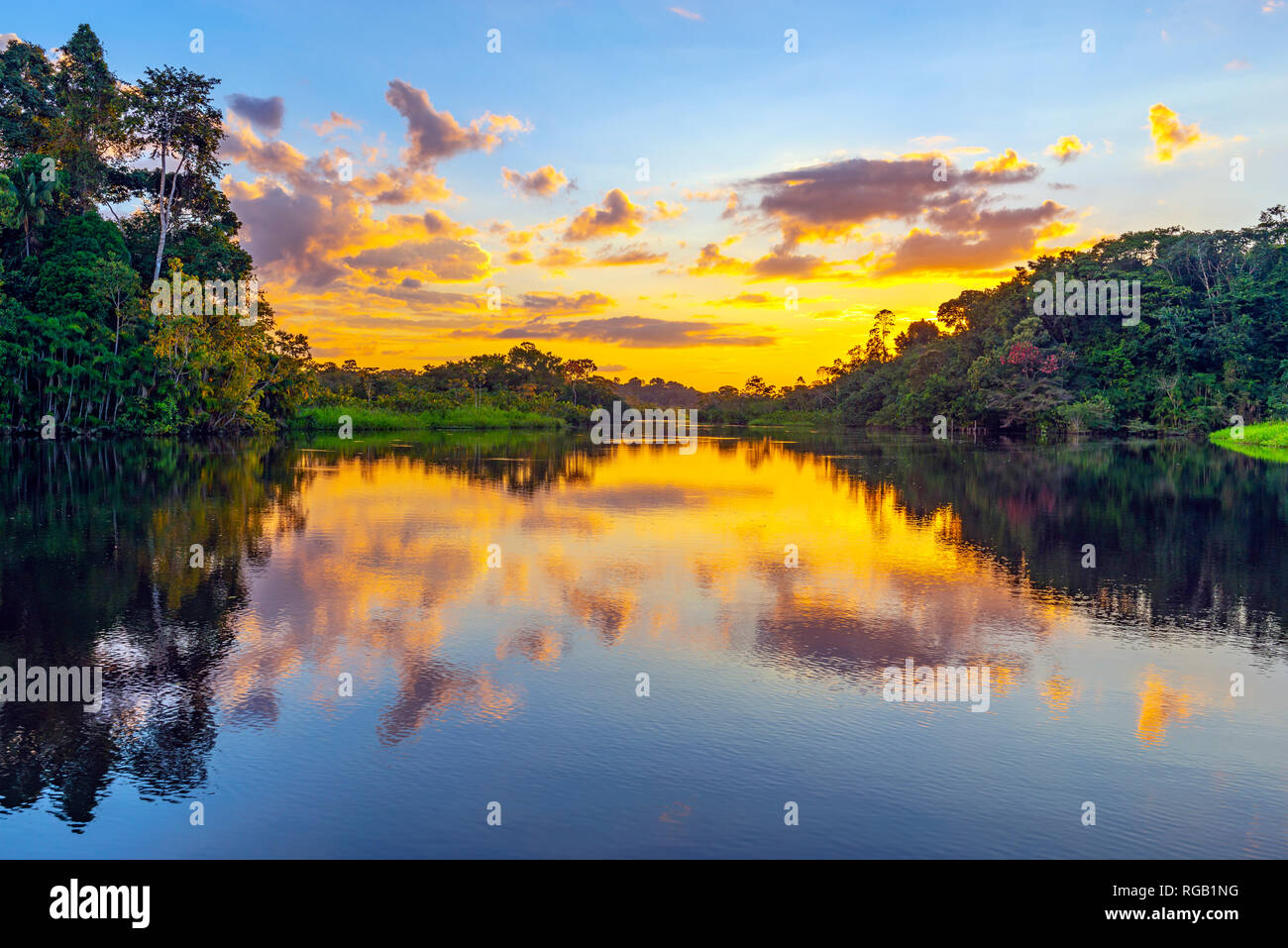 Sonnenuntergang im Regenwald des Amazonas, Yasuni Nationalpark. Der Regenwald bestehen aus den Ländern Ecuador, Peru, Bolivien, Brasilien, Kolumbien, Venezuela... Stockfoto
