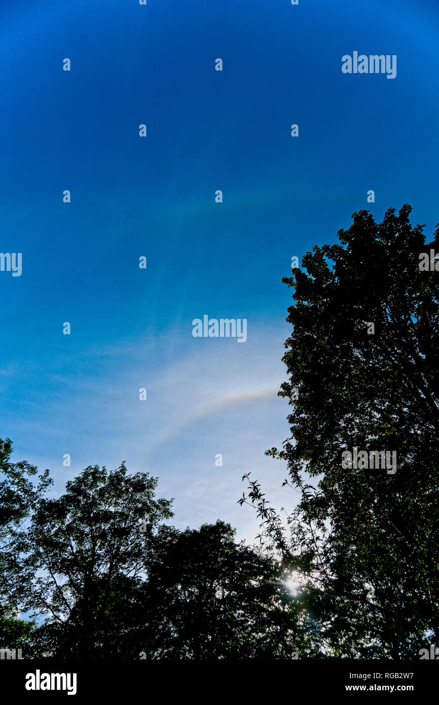 Blauer Himmel und Bäume framing Silhouette sun Hunde, eine Art Regenbogen um die Sonne Stockfoto