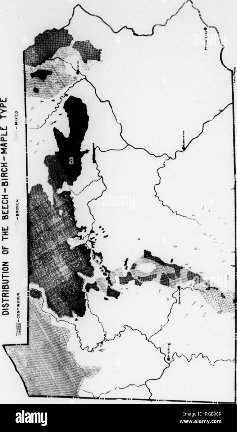 . Bulletin (Pennsylvania Abteilung der Wälder und Gewässer), No. 46-50. Die Wälder und die Forstwirtschaft. 8 Tut: 13 ei: (; ii - Biucii - iMaple Wald in Pennsylvania die Biene Cii-Bi RCii -^ rAPLE Wald in Pennsylvania. V&gt; ** *** ::-^" =^.^^C&lt;;;;;;;;-s " J*y . Â ¢' fi-5 4: ^5^. "-; V C Si ^S!Â" 5 - "w â Â"-T-^ Â" s â Â"&gt; -="t c c r' &Lt;Liegen t" â': Ej;,. Der Bereich ist von wachsenden Bäumen gewidmet. Bestehende steht Abdeckung begrenzt Ar&lt;" und gehören vor allem in der Farm v^^ oodlot Klasse. Der Begriff "Transition zone" wird verwendet, um die bewaldeten Region Wette zu beschreiben Stockfoto