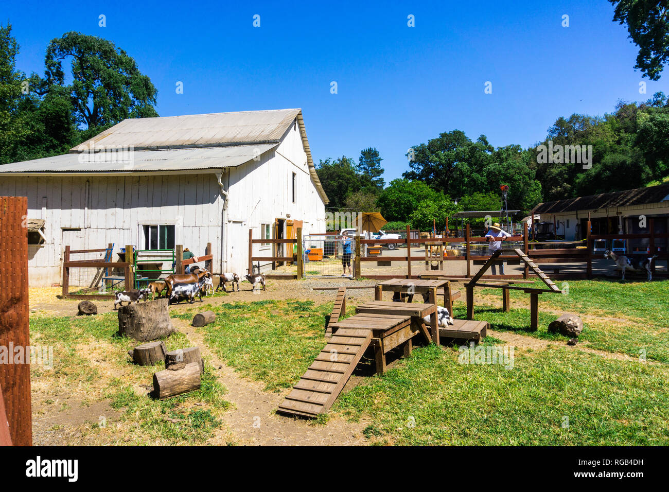 Mai 17, 2018 Cupertino/CA/USA - Das Gehäuse Ziege am Deer Hallow Farm, Ranch San Antonio, South San Francisco Bay Area. Stockfoto