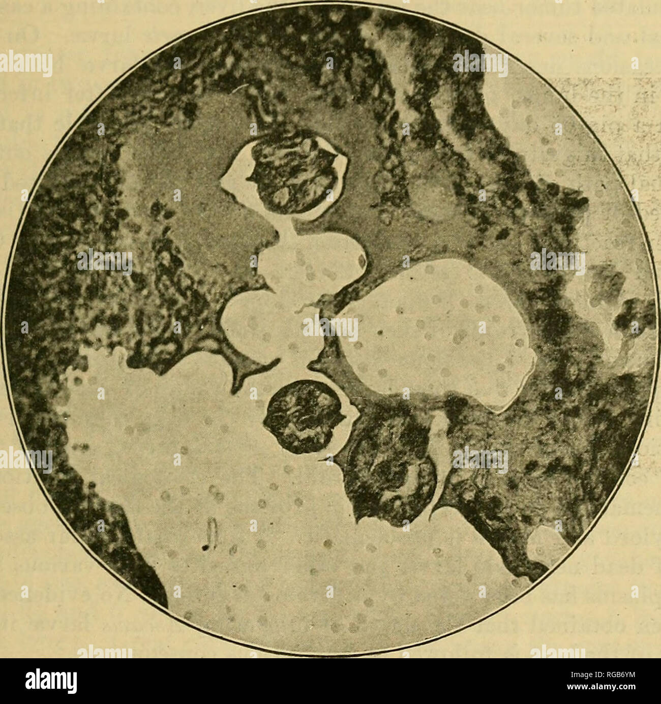 . Bulletin der USLandwirtschaft. Landwirtschaft Die Landwirtschaft