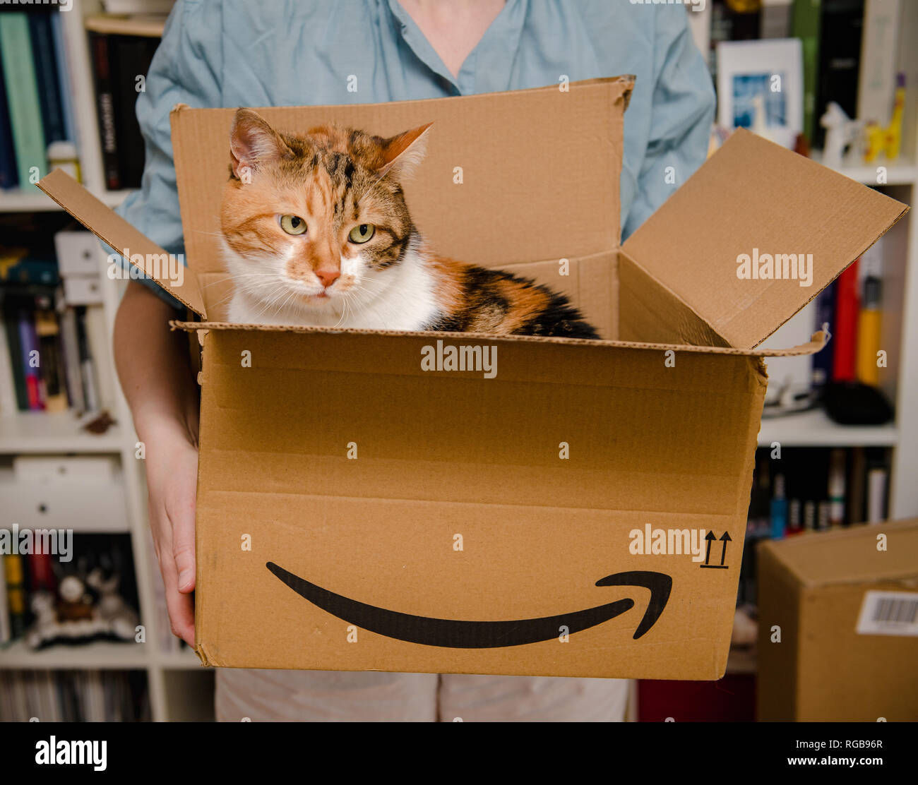 PARIS, Frankreich - Apr 4, 2018: Schwere Katze Ausfahrten von Amazon Prime  Karton nach Lieferung per Kurier und Unboxing durch Frau im Wohnzimmer  Stockfotografie - Alamy