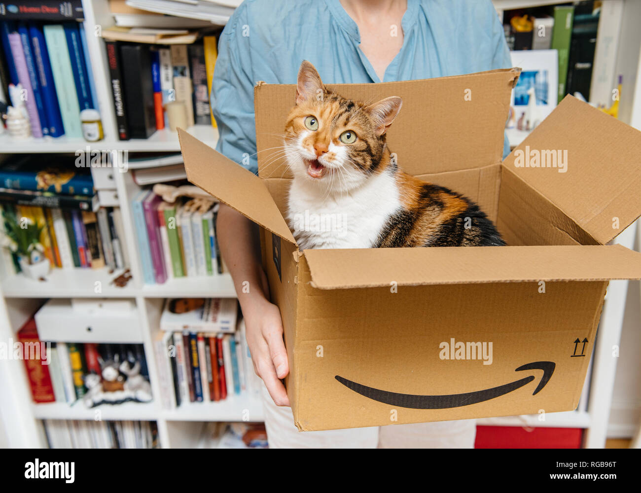 PARIS, Frankreich - Apr 4, 2018: neugierige Katze Ausfahrten von Amazon  Prime Karton nach Lieferung per Kurier und Unboxing durch Frau im  Wohnzimmer Stockfotografie - Alamy