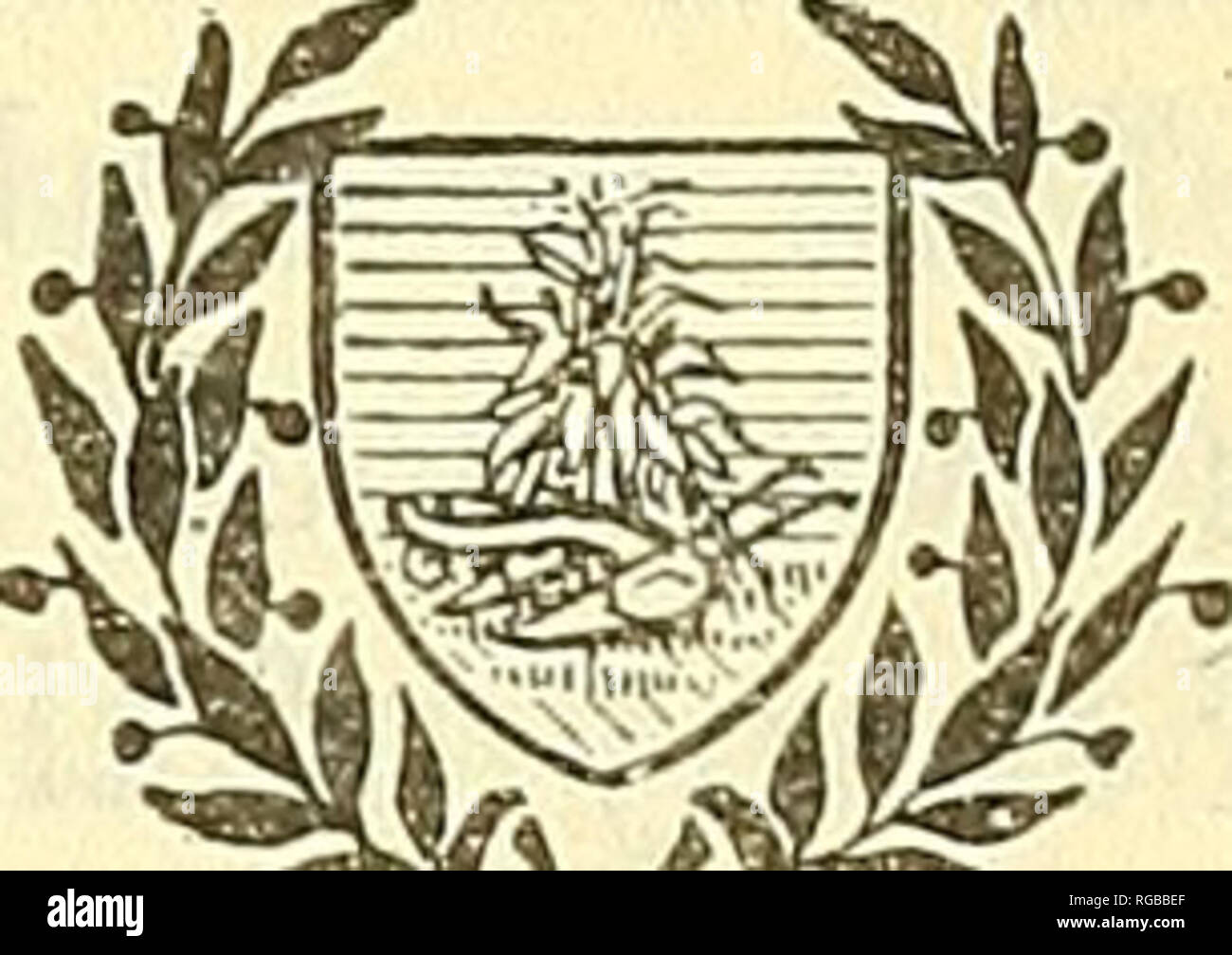 . Bulletin der US-Landwirtschaft. Landwirtschaft Die Landwirtschaft. SJ^' '^i^U ICH Bulletin Nr. 371 Beitrag aus dem Büro der Märkte und der ländlichen Organisa- tion, Charles J. MARKE, Chief. ^^^%^ U Washington, DC 23. Mai 1916 PATRONAT DIVIDENDEN IN KOOPERATIVEN KORN UNTERNEHMEN. Von John R. Humphrey, Assistent in der Praxis, und W. H. Kerr, Forscher in der Praxis. Inhalt. Einführung kooperativer Organisation in Bezug auf Pat-ronage Dividendenzahlungen Accounting und Business Praktiken in Bezug auf die Schirmherrschaft Dividendenzahlungen Zweckmäßigkeit der Standardisierung Stockfoto