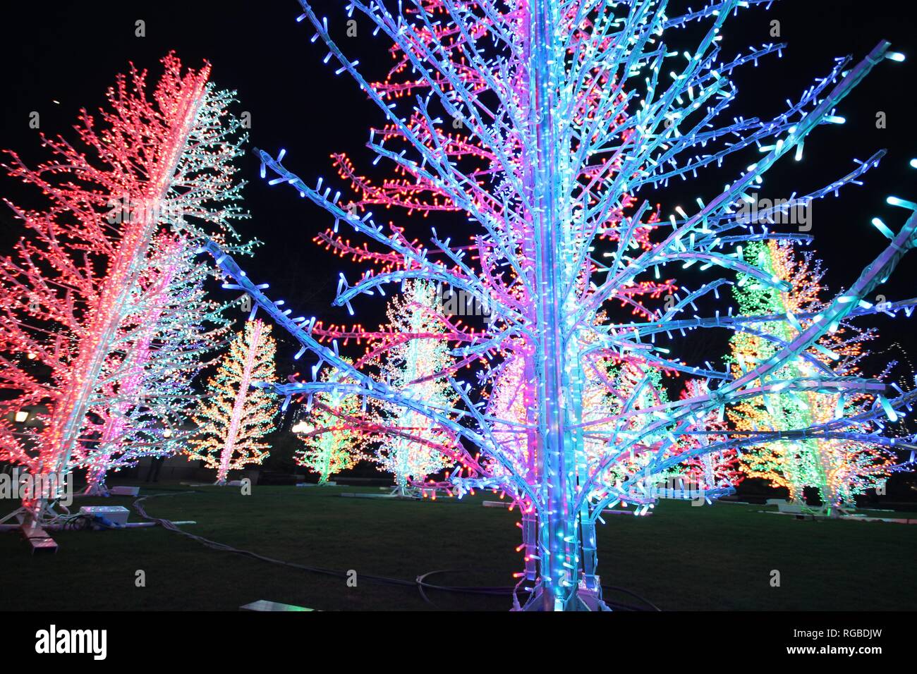 Winter Lichter Festival in Canary Wharf London England, Weihnachtsbeleuchtung und Neujahrsfeier Stockfoto