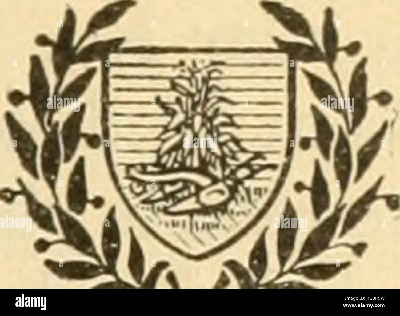 . Bulletin der US-Landwirtschaft. Landwirtschaft. yL.^"^ ift. % BULLETIN Nr. 431 Beitrag vom Büro der Entomologie L. O. HOWARD, Chief.sZ^% j-u-Washington, DC PROFESSIONAL PAPIER Februar 9, 1917 SACBROOD. Durch G. F. Weiß, Expert, engagierte sich in der Untersuchung von Bienenkrankheiten. Inhalt. Einleitung 1 Rückblick 2 Name der Krankheit 4 Aussehen der healtliy Brut in das Alter, in dem er stirbt Der sacbrood 6 Symptome der sacbrood 10 Ursache für sacbrood 24 abschwächende Wirkung von sacbrood auf eine Kolonie... 30 Amoimt des Virus benötigt, um die Krankheit zu produzieren, und die Rap Stockfoto