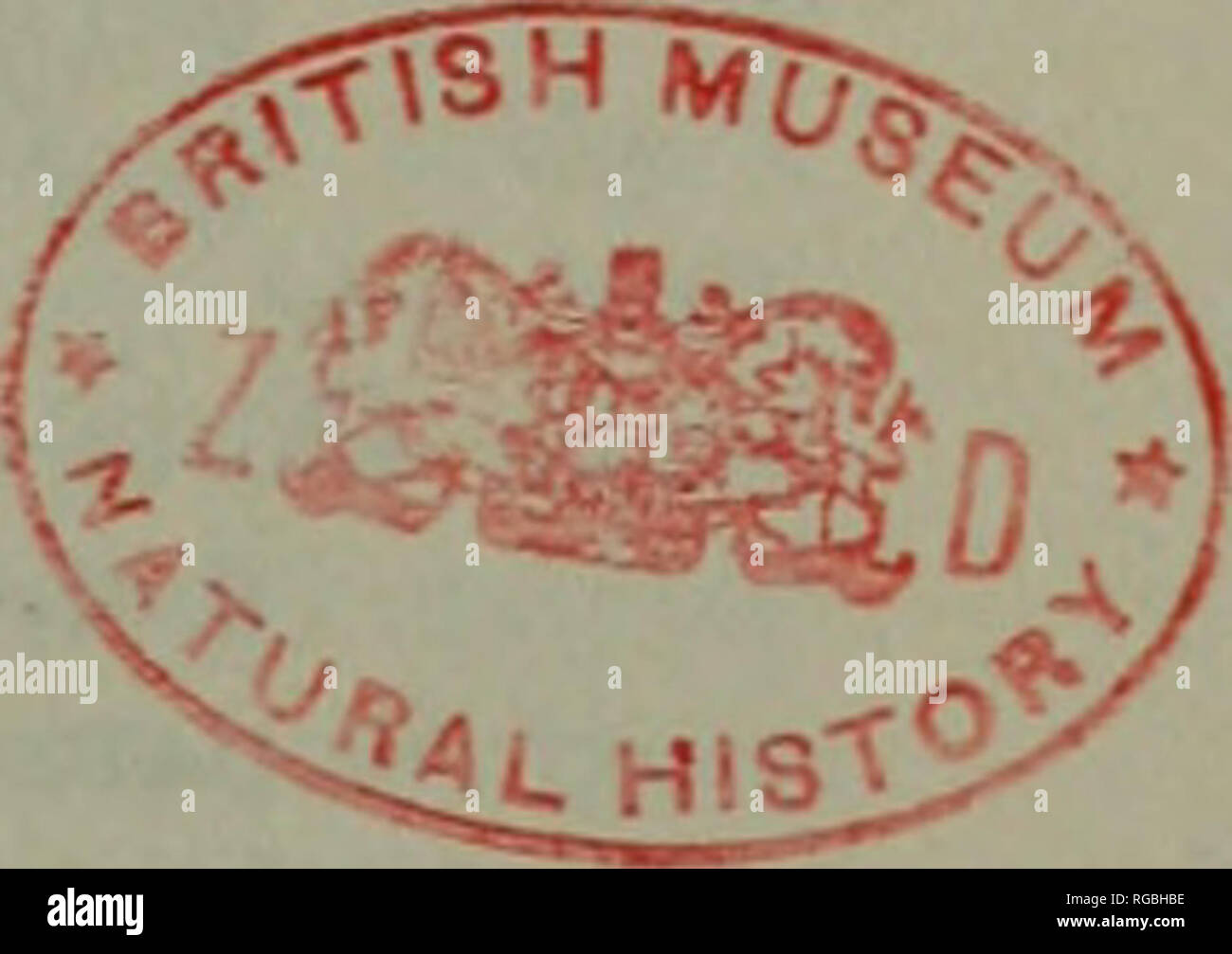 . Bulletin der zoologischen Nomenklatur. . BUllETIIV der zoologischen Nomenklatur, Band 16, Teil 3 (pp. 81 - 104, T. S. - (VIII)) 24&lt;/i November 1958 vorgeschlagen, ZUSÄTZLICH ZU DEN "OFFIZIELLEN LISTE DER SPEZIFISCHEN NAMEN IN DER ZOOLOGIE" DER SPEZIFISCHE NAME "DUPONCHELI "Staudinger 1871, WIE IN DER KOMBINATION VON "LEUCOPHASIA DUPONCHELI" veröffentlicht, EIN BEKANNTER NAME, WURDE VOR KURZEM BEDROHT (KLASSE INSECTA, LEPIDOPTERA) von FRANCIS HEMMING, C.M.G., C.B.E. OV^ (Lowdcm)-3L; LC":;^ "Ich und LEO SHELJUZHKO {Zoologische Sammlung des Bayerischen Staaten, Miinchen) (Kommission Re Stockfoto