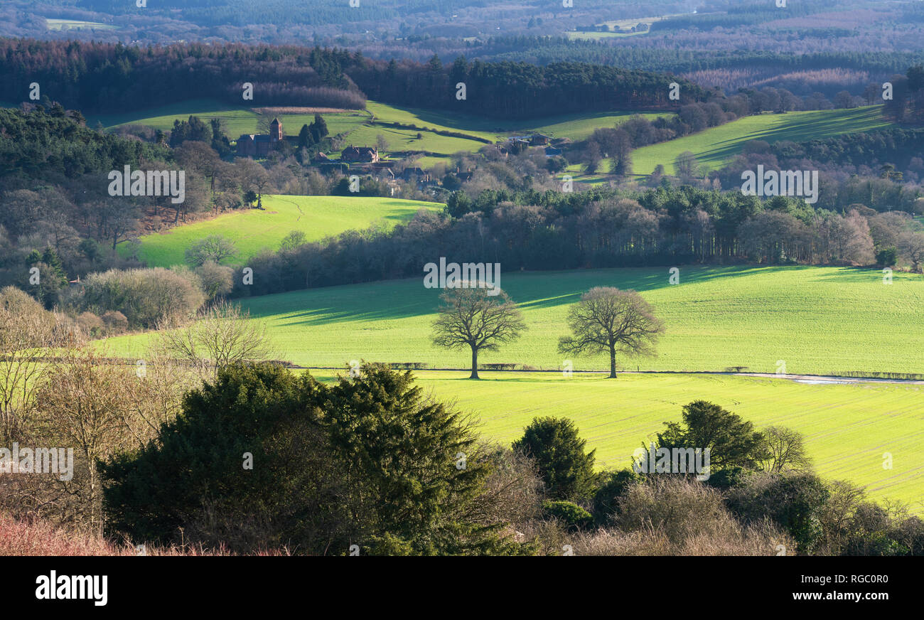 Die Aussicht von Newlands Ecke und schaut in Albury im Surrey Hills Stockfoto