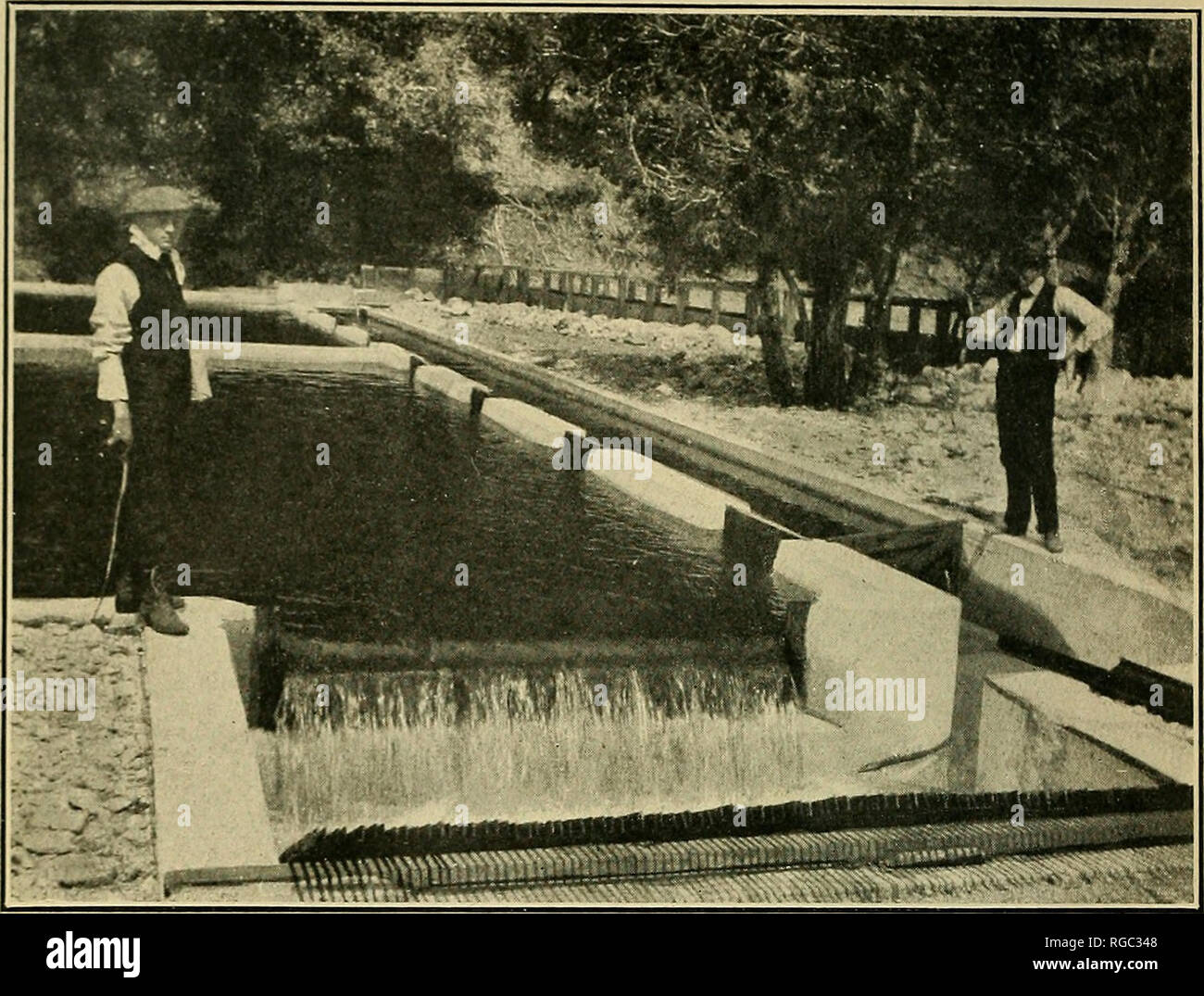 . Bulletin der US-Landwirtschaft. Landwirtschaft Die Landwirtschaft. Bui. 852, US Abt. der Landwirtschaft. Platte X.. Abb. I.-Wehr am Einlass zu Mill Creek Nr. 3 Rohrleitung, Kalifornien. Bei der Messung das Wasser in die Leitung H o verwendet. 51a.. Bitte beachten Sie, dass diese Bilder sind von der gescannten Seite Bilder, die digital für die Lesbarkeit verbessert haben mögen - Färbung und Aussehen dieser Abbildungen können nicht perfekt dem Original ähneln. extrahiert. In den Vereinigten Staaten. Abt. der Landwirtschaft. [Washington, DC?]: Die Abt.: Supt. des Docs. , G. S. O. Stockfoto