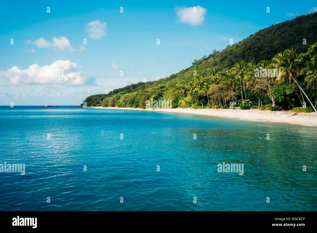 Australien, Fitzroy Island National Park, Tropical Island, Teil des Great Barrier Reef Marine Park mit Strand mit Palmen Stockfoto