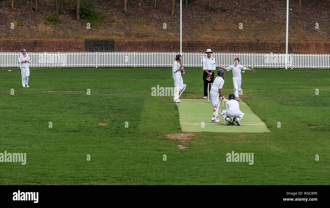 SYDNEY, AUSTRALIEN - 30. November 2014: weite Einstellung von zwei Jungen Mannschaften konkurrieren in einem Spiel des Krickets Stockfoto