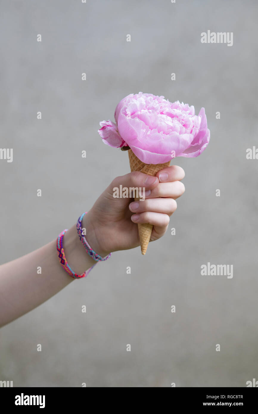Girl's Hand hält Eistüte mit blume Leiter der rosa Pfingstrose Stockfoto
