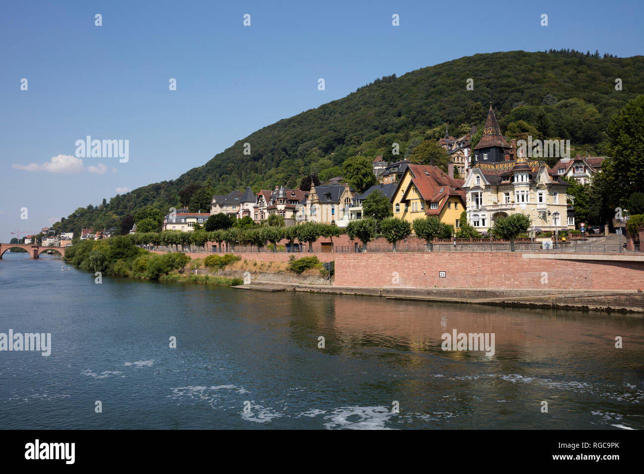 Deutschland, Baden-Württemberg, Heidelberg, Neckar, Stadtblick Stockfoto