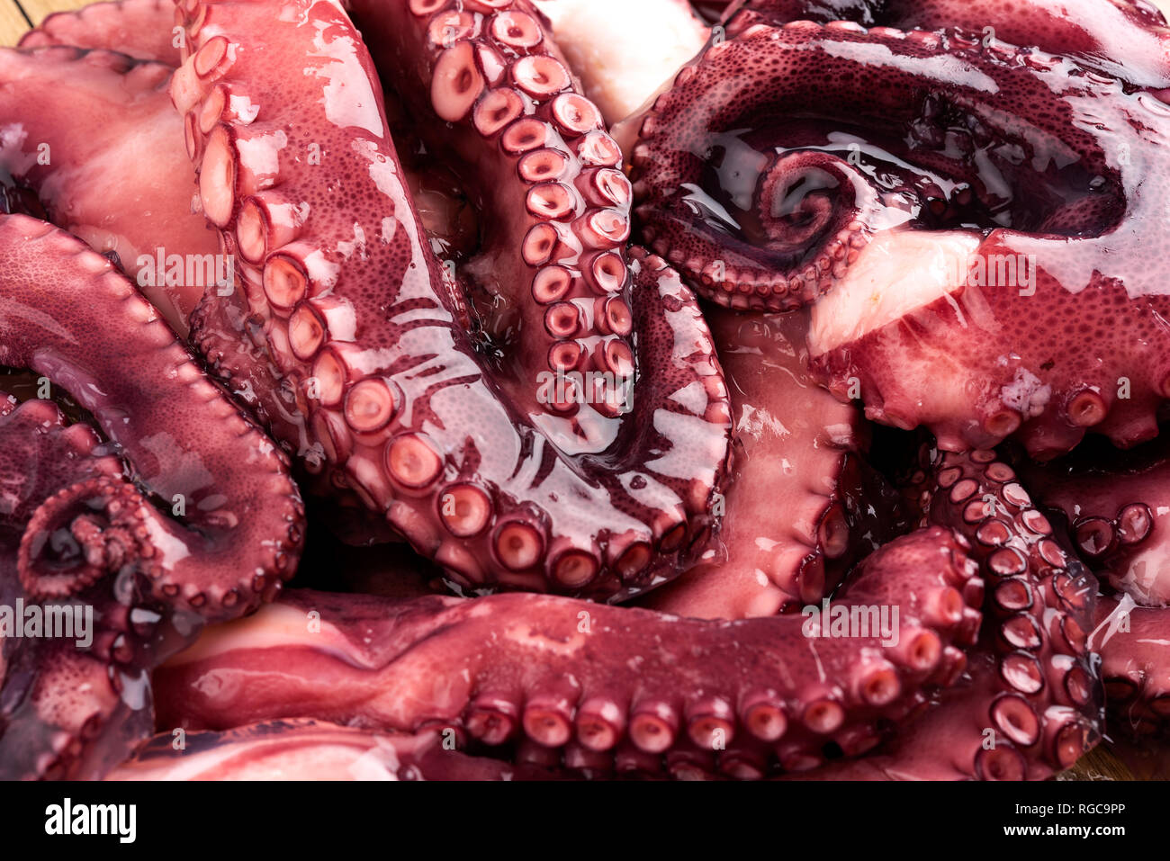 Frische Octopus essen Konzept Bild als maket Situation. Meeresfrüchte Präsentation als Hintergrund. Stockfoto