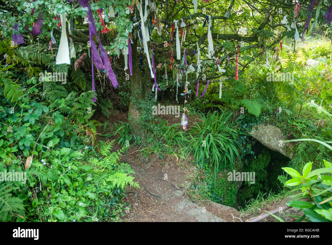 The Sancreed Holy Well in Cornwall beside a 'cloutie tree', bedecked with strips of cloth, as part of a pagan or celtic tradition. Stockfoto