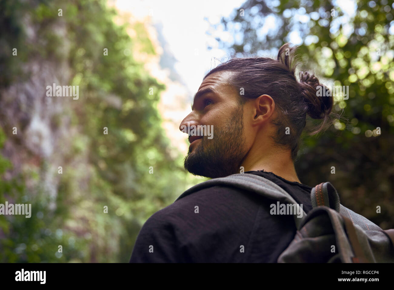 Spanien, Kanarische Inseln, La Palma, Rückansicht der Wanderer in einem Wald um suchen Stockfoto
