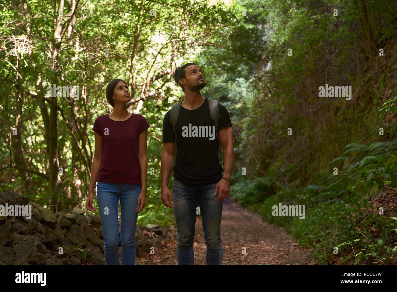 Spanien, Kanarische Inseln, La Palma, Paar gehen durch einen Wald um suchen Stockfoto