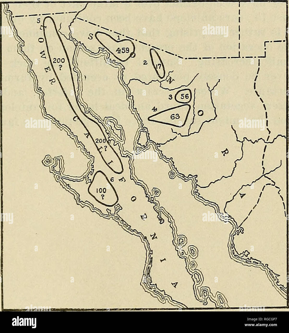 . Bulletin der US-Landwirtschaft. Landwirtschaft Die Landwirtschaft. STATUS DER PKONGHOKNED Antilopen, 1922-1924 63 CHIHUAHUA 111 extreme nordwestlich, südöstlichen und östlichen Chihuahua Antilope im abwechslungsreichen, Zahlen auftreten. Die Bands im äußersten nordwestlichen Teil von denen, die entlang der mexikanischen Central Railroad im Osten Bereich getrennt. Die große Bolson de Mapimi und die Region östlich der Mexikanischen Central Railroad ist eine Weste Gebiet optimal auf die Bedürfnisse dieser Tiere geeignet. Im südlichen Chihuahua Antilope auftreten, auf beiden Seiten der Mexikanischen Zentrale Schiene - Straße, particula Stockfoto