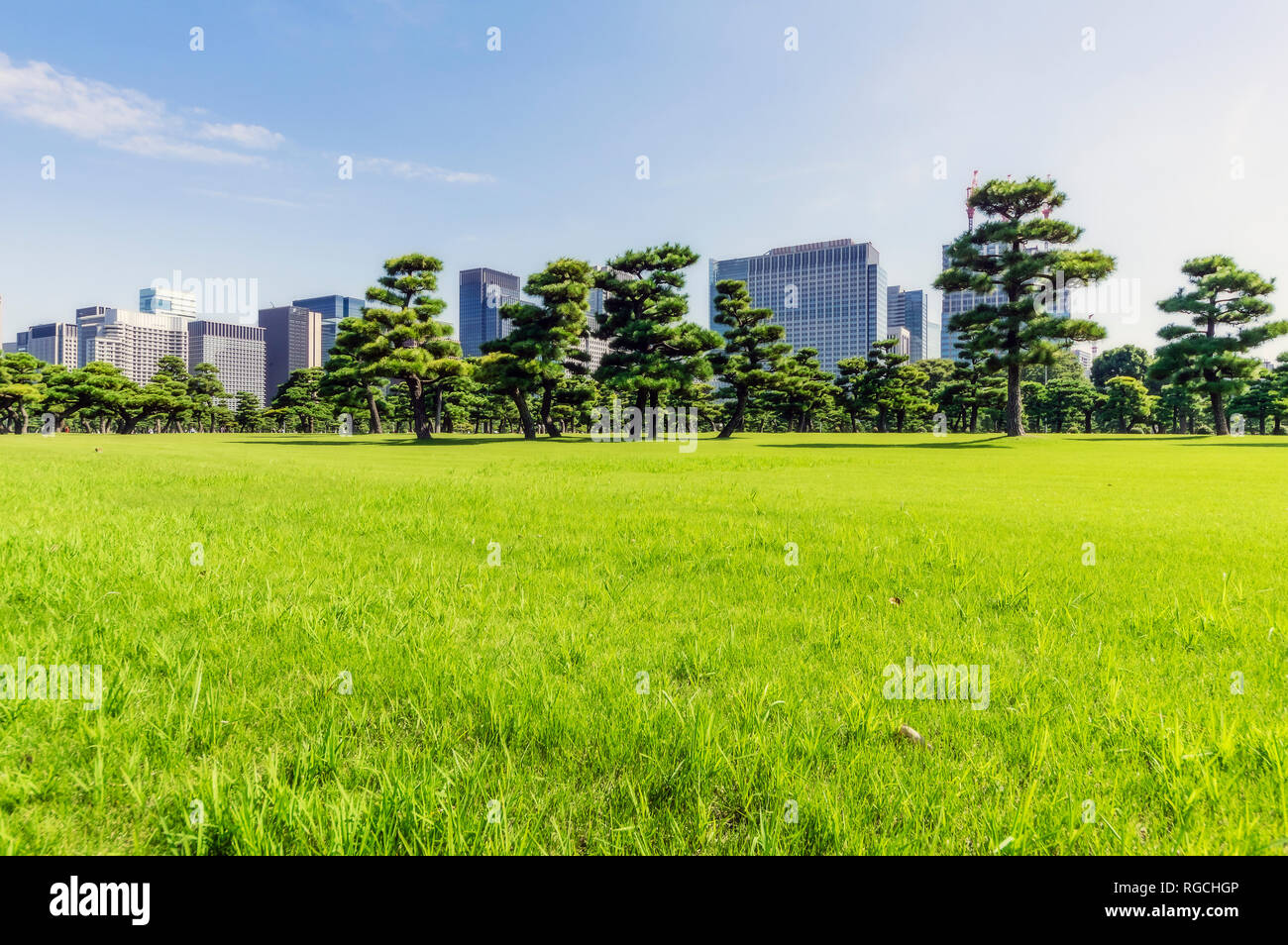 Japan, Tokyo, Chiyoda Bezirk, Wiese im Imperial Palace, Park, grüne Wiese und Bäume Stockfoto