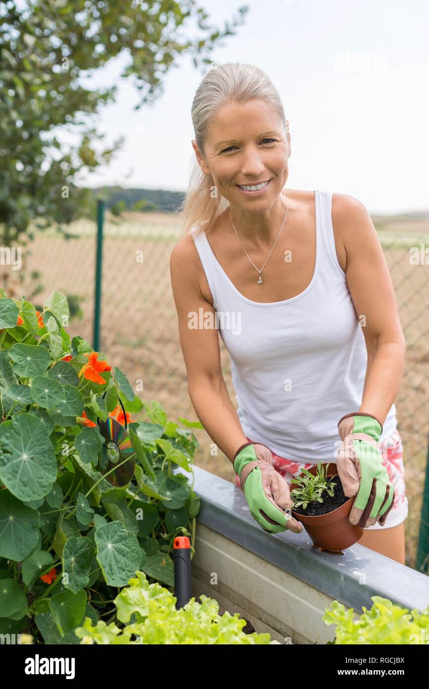 Porträt der lächelnde Frau Gartenarbeit mit angehobener Pritsche Stockfoto