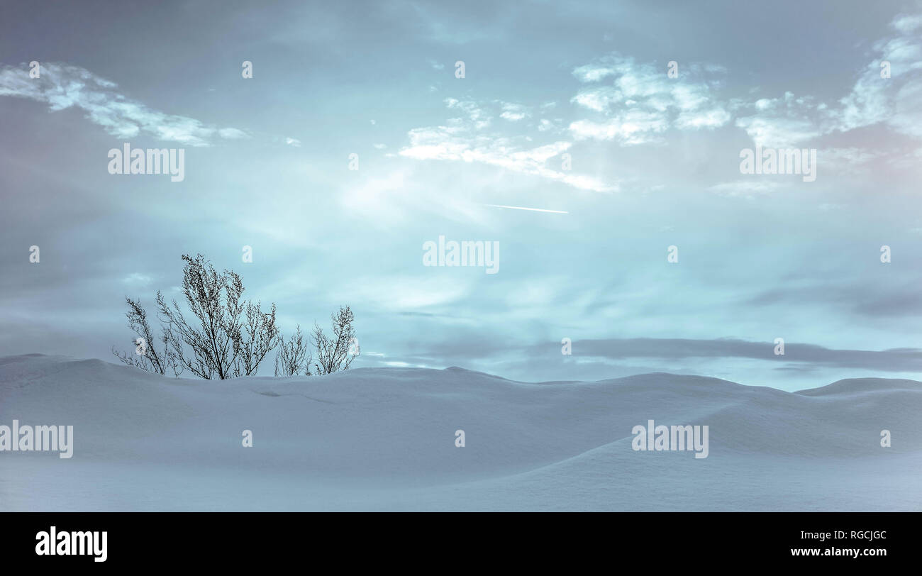 Winter Szene: Frosty Landschaft mit Schneeverwehungen auf Vorder- und ruhigen Himmel Stockfoto