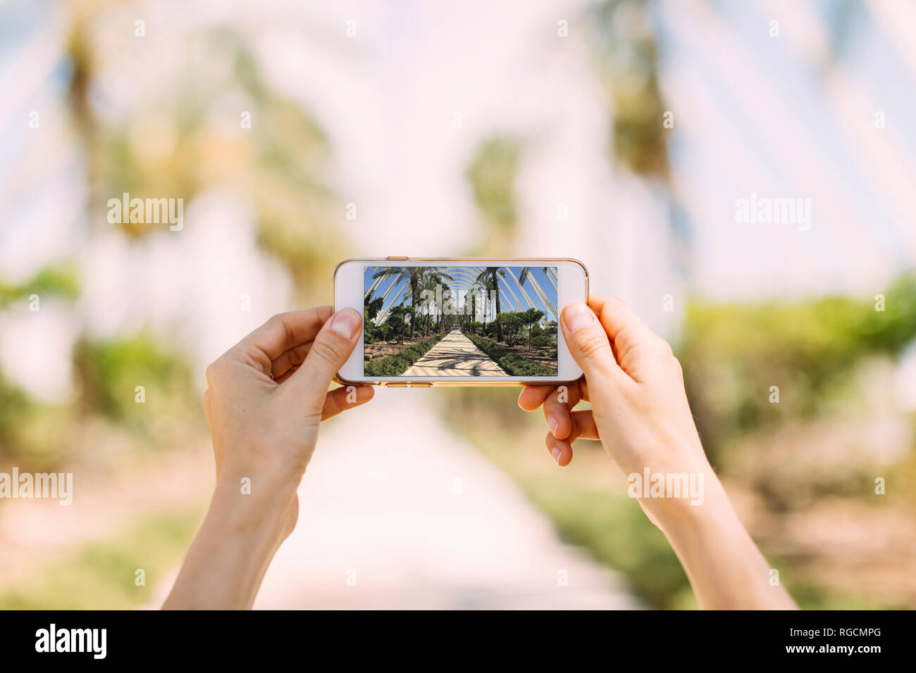 Spanien, Valencia, Ciudad de las Artes y de las Ciencias, L'Umbracle, Frau unter Handy Bild bei Palm Garden Stockfoto