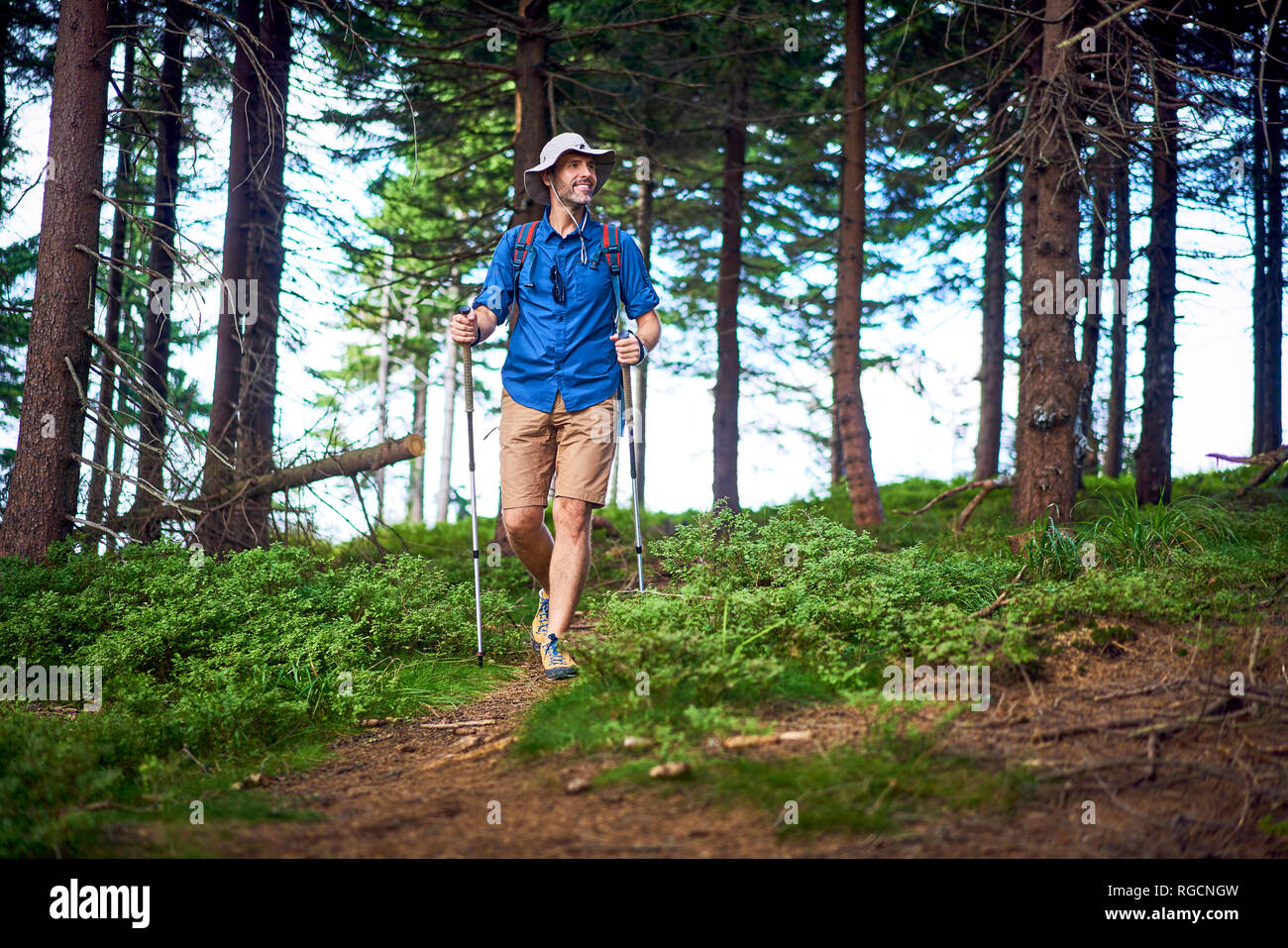 Lächelnde Menschen wandern im Wald Stockfoto