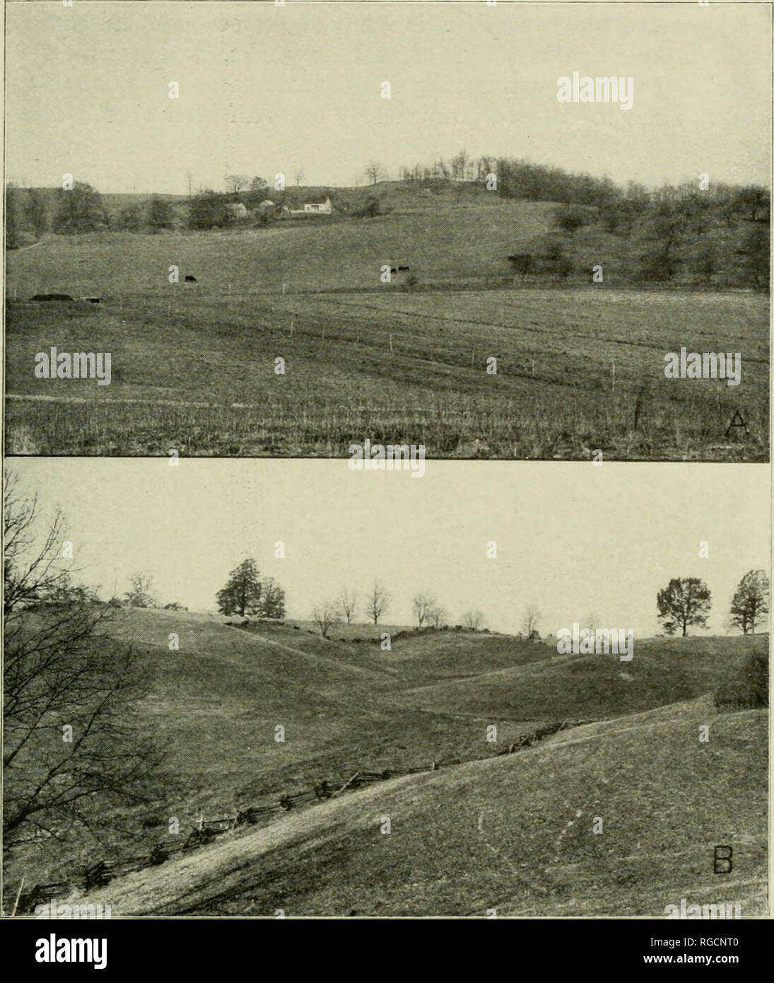 . Bulletin der wissenschaftlichen Labors der Denison University. Stream Abzweigung in der Nähe von St. Louisville. Ohio 343 Durchmesser. In der Masse der Drift verstreut sind auch viele Fragmente der lokalen Rock hauptsächlich der Logan Formation, die. Abb. 3. A. in der südlichen Hang der Drift banier östlich von St. Louisville, B eine Erodierten drift Oberfläche eine kurze Strecke östlich der Bereich in A dargestellt von den Seiten des benachbarten Tal durch das Eis gerupft worden war. Bitte beachten Sie, dass diese Bilder aus gescannten Seite Bilder, die digital für die Lesbarkeit verbessert haben mögen - Färbung und Appe extrahiert werden Stockfoto