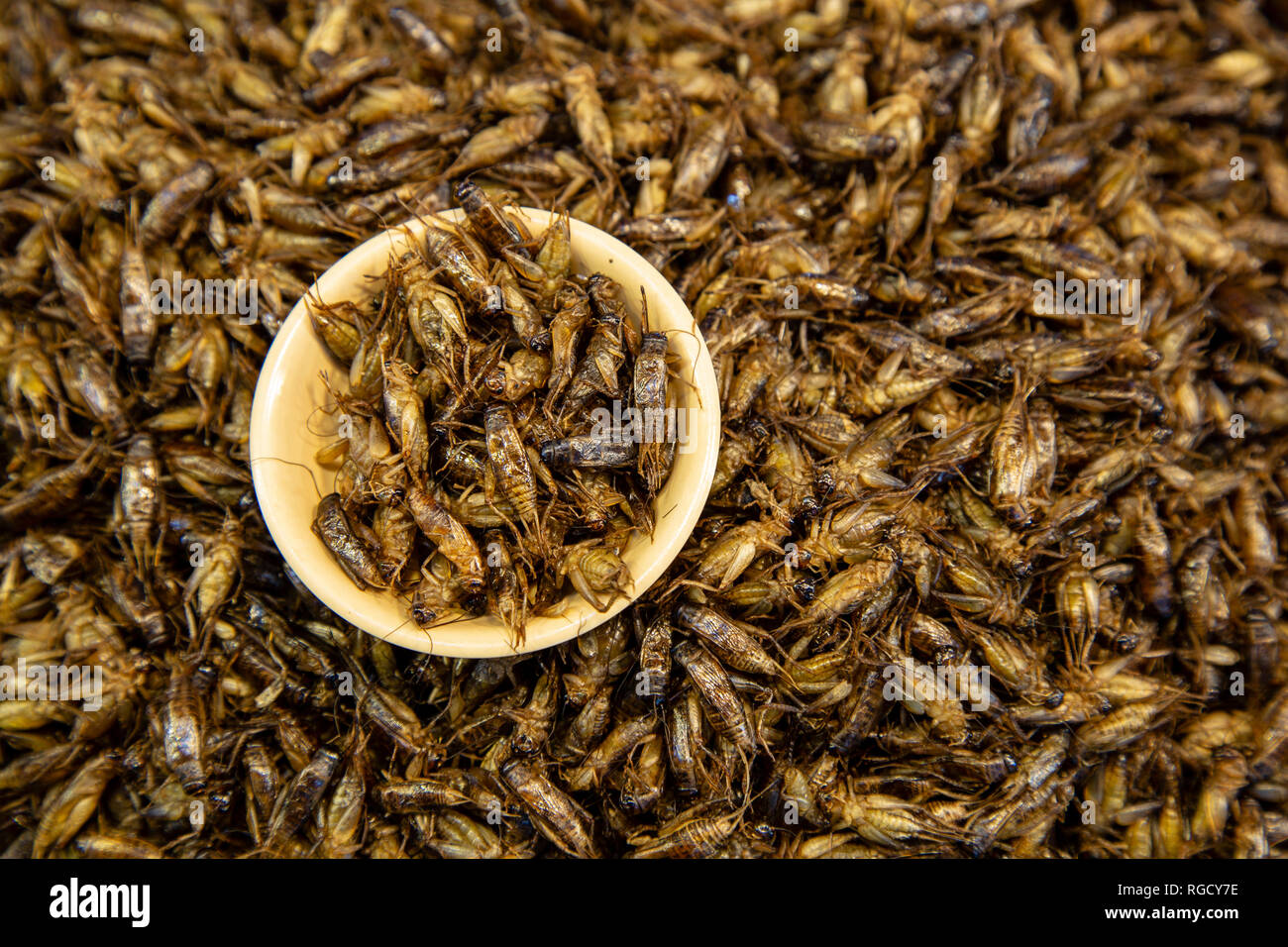 Eine Anordnung von einem traditionellen Thai Street Food, Snacks, frittierte Wanzen oder Insekten in den lokalen Markt gefunden. Stockfoto