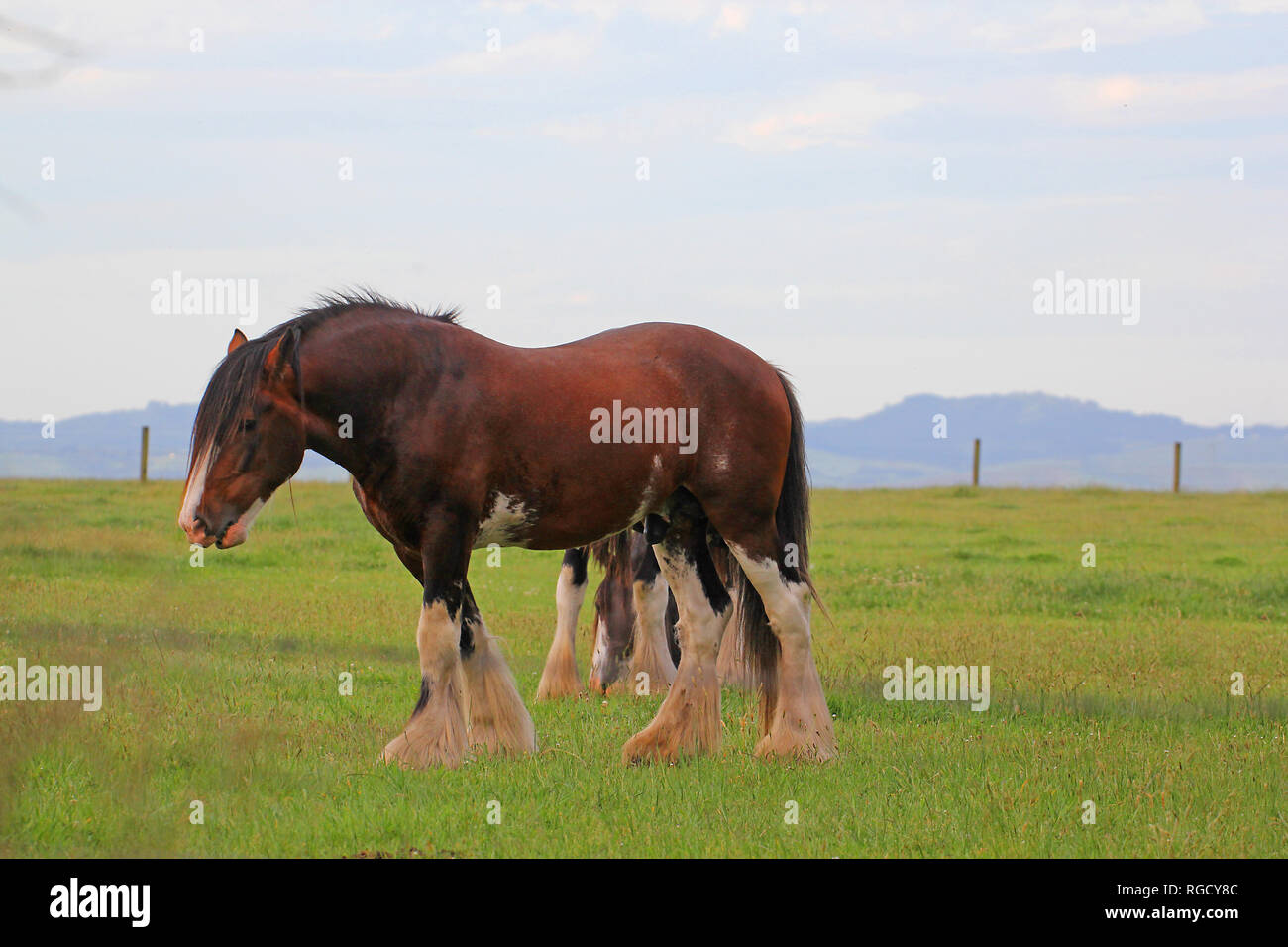 Besuchen sie Australien. Ansichten und scenics entlang der Ostküste. Stockfoto