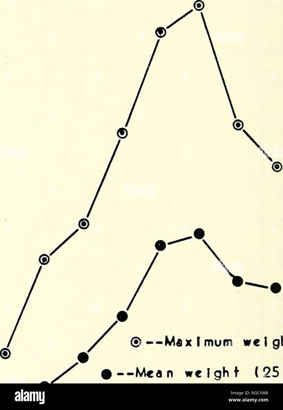 . Bulletin des südlichen Kalifornien Akademie der Wissenschaften. Wissenschaft; Naturgeschichte; Natural History. 92 Bulletin So. Calif Akademie Wissenschaften/Vol.62, Pt. 2, ip 6^ Die Ergebnisse (Abb. 2) Eine schnellere Wachstumsrate für die Geschosse auf einer konstanten Temperatur gehalten, trotz der Tatsache, dass die aktiven Schnecken unter der Höheren und schwankenden Temperatur fast doppelt so viel Nahrung wie ihre Kollegen bei 17°C verbraucht Es wurde der Schluss gezogen, dass, während die Unterwerfung der Schnecken zu Fluc - tuating temperatLires erhöhten ihre actidty und der Nahrungsaufnahme (wie von Dainton, 19 angezeigt Stockfoto