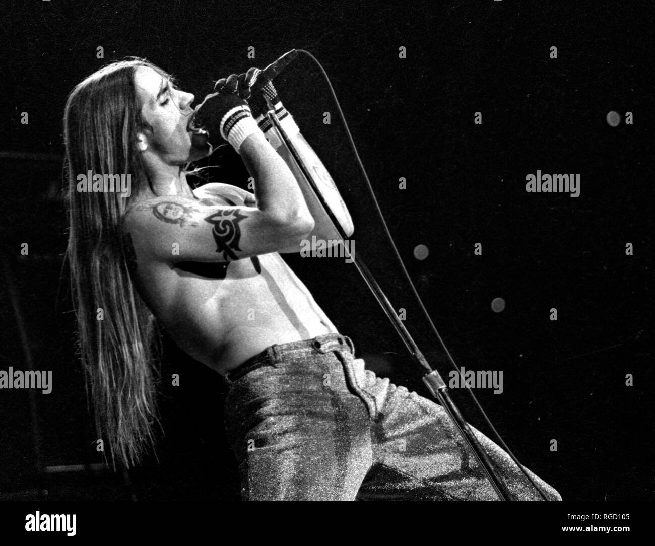 Red Hot Chili Peppers Anthony Kiedis in Concert am großen Holz in Mansfield Ma, USA 1992 Foto von Bill Belknap Stockfoto