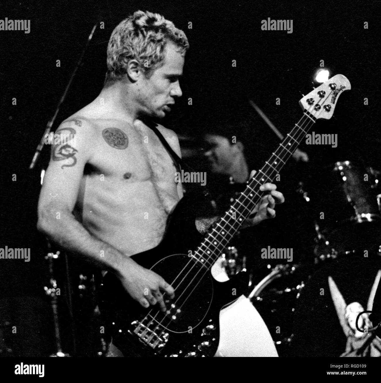 Red Hot Chili Peppers Flea (Michael Peter Balzary) am großen Holz, Mansfield Ma, USA 1992 Foto von Bill belknap Stockfoto