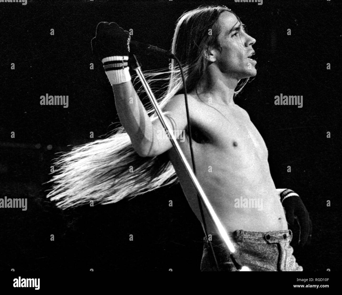 Red Hot Chili Peppers Anthony Kiedis in Concert am großen Holz in Mansfield Ma, USA 1992 Foto von Bill Belknap Stockfoto