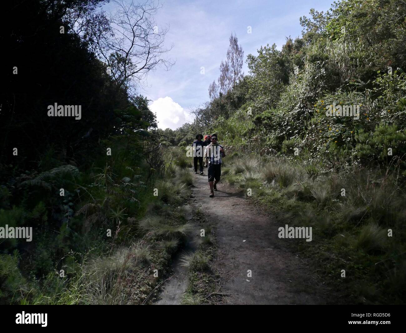 Mount Semeru Wandern Stockfoto