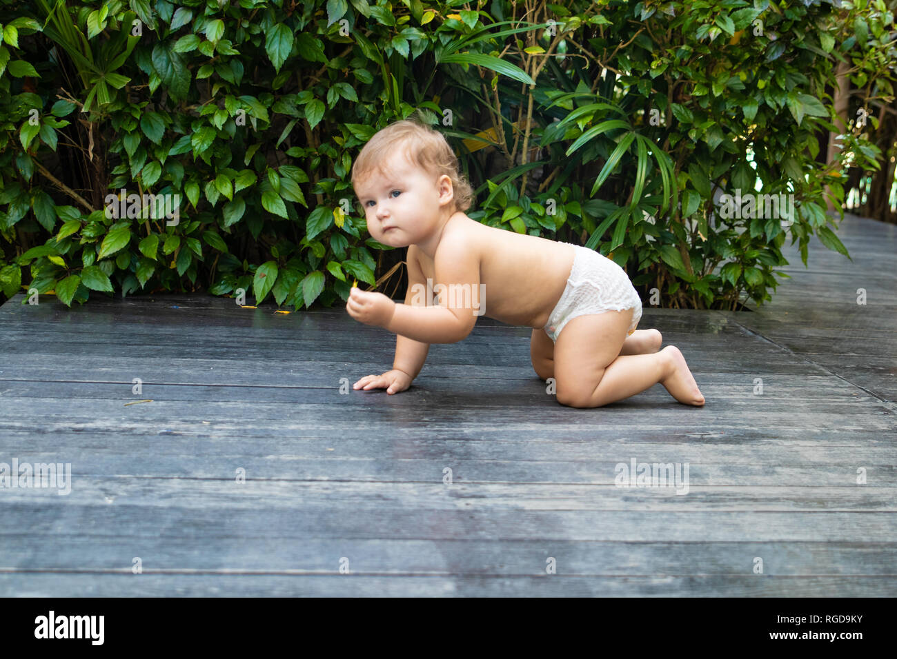 Hubsches Baby Madchen Lachelnd Zu Kriechen Und Krabbeln Auf Dem