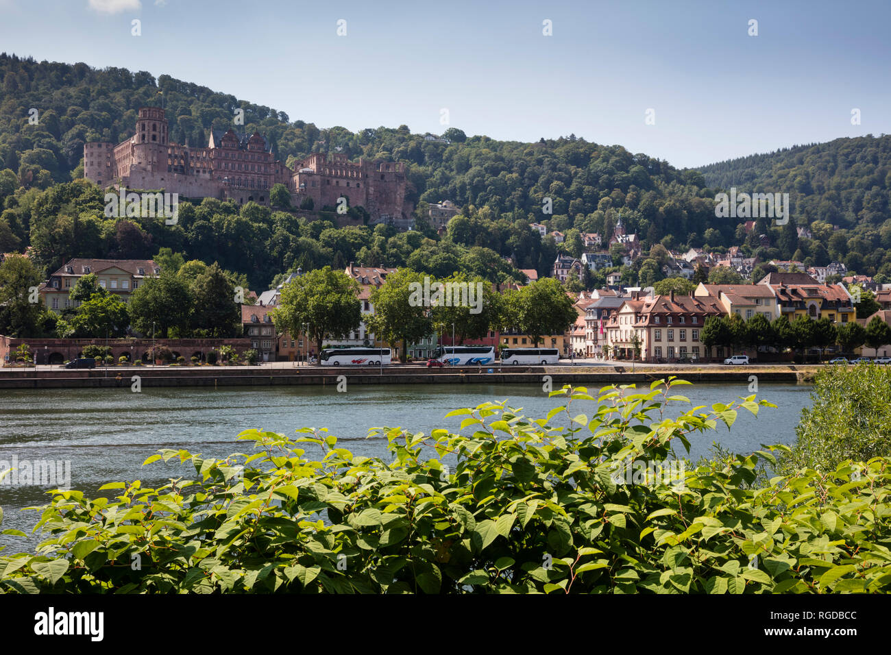 Deutschland, Baden-Württemberg, Heidelberg, Neckar, Blick auf die Stadt und das Schloss von Heidelberg Stockfoto