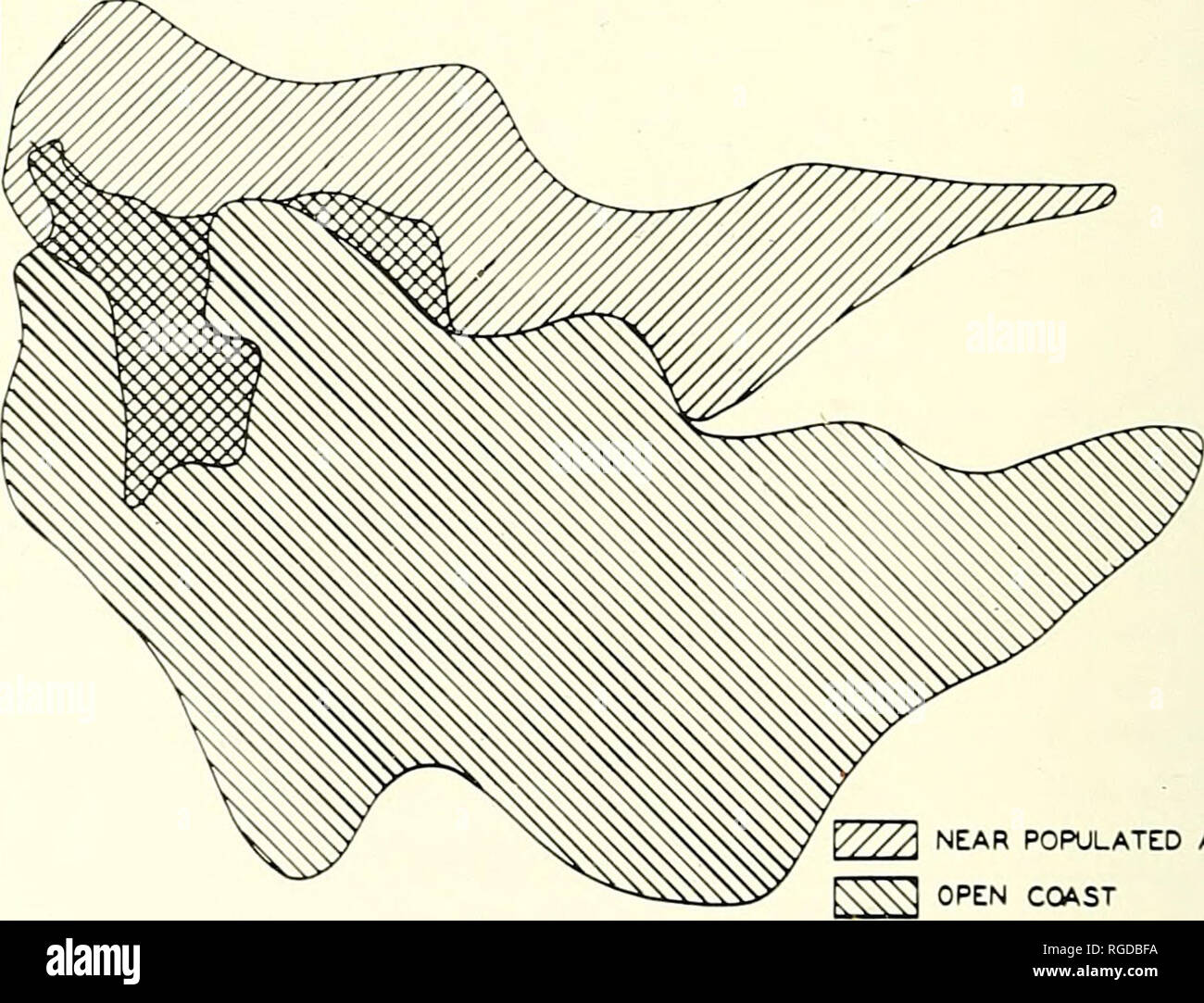 . Bulletin des südlichen Kalifornien Akademie der Wissenschaften. Wissenschaft; Naturgeschichte; Natural History. Bulletin, so. Calif. Akademie der Wissenschaften Bd. 60, Teil 2, 1961 S. Hoagland persönliche Mitteilung), sind erfahrene rarel} - und dann nur unter ungewöhnlichen Bedingungen in einem begrenzten Bereich. Die relative Wirkung von Fluss-borne Detritus auf Nearshore Trans-parenz kann von Messungen in der Nähe von Oceanside, Kalifornien gezeigt werden, am 21. Februar und 22, 1958, zwei Tage nach einem schweren Sturm. Es gibt 12 hydrographische Stationen in diesem Bereich, von denen jede 3 oder 4 Mal besetzt vor t worden war Stockfoto