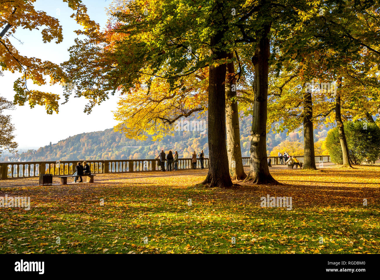 Deutschland, Baden-Württemberg, Heidelberg, den Schlossgarten im Herbst Stockfoto