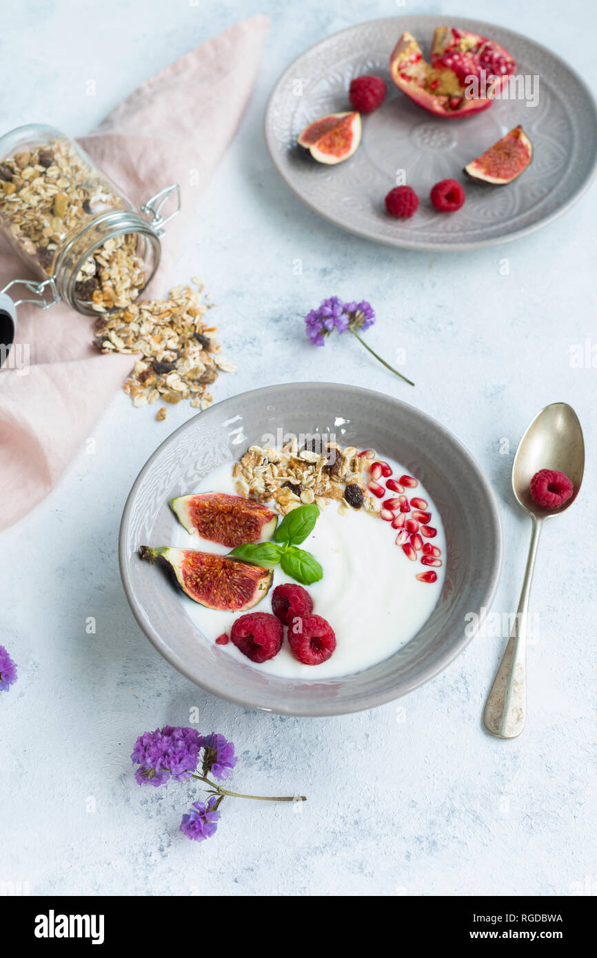 Schssel Naturjoghurt mit Obst Msli, Himbeeren, Feigen und Granatpfel,  Saatgut Stockfotografie - Alamy