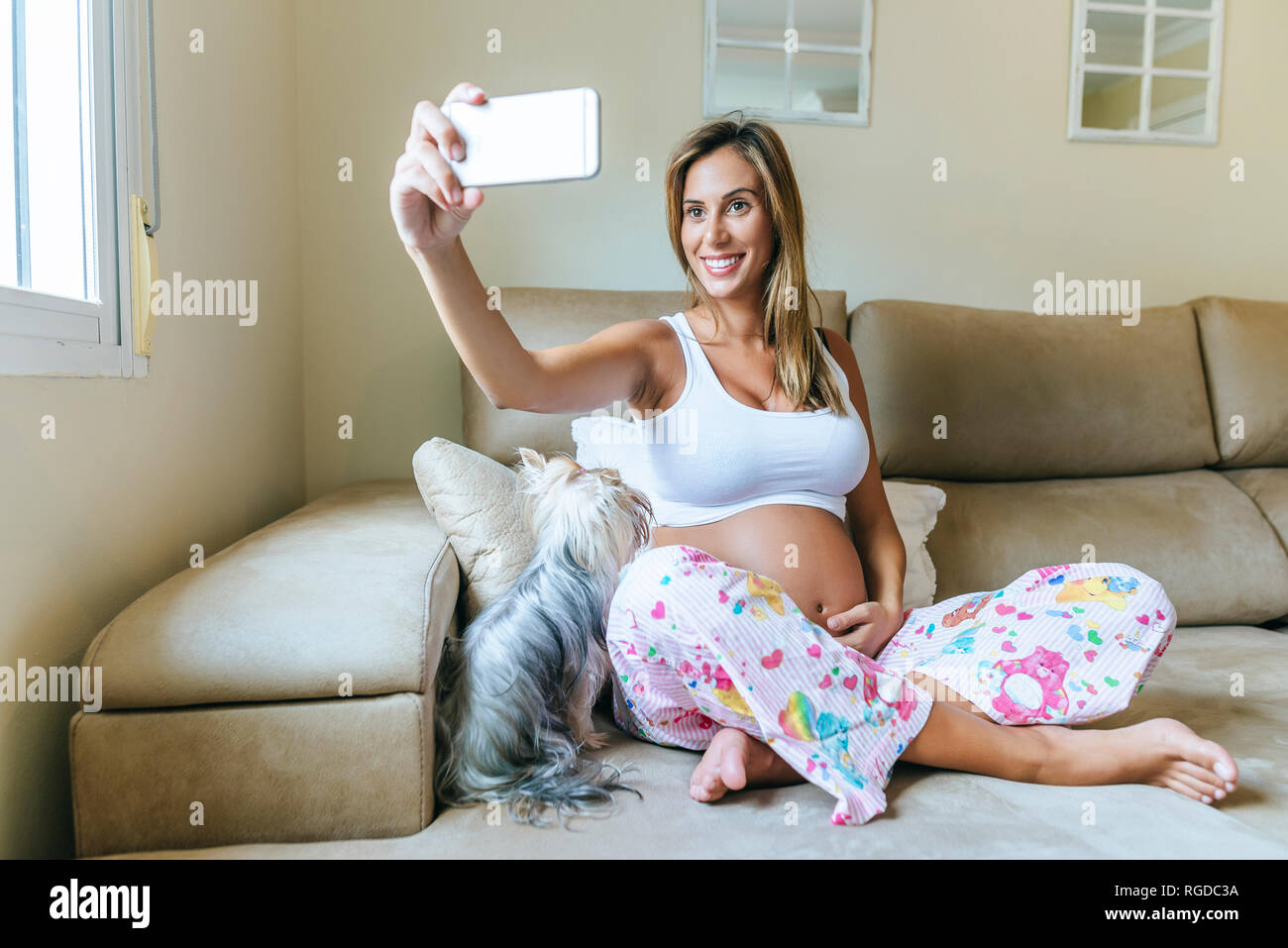 Lächelnd schwangere Frau eine selfie mit Hund auf der Couch zu Hause Stockfoto