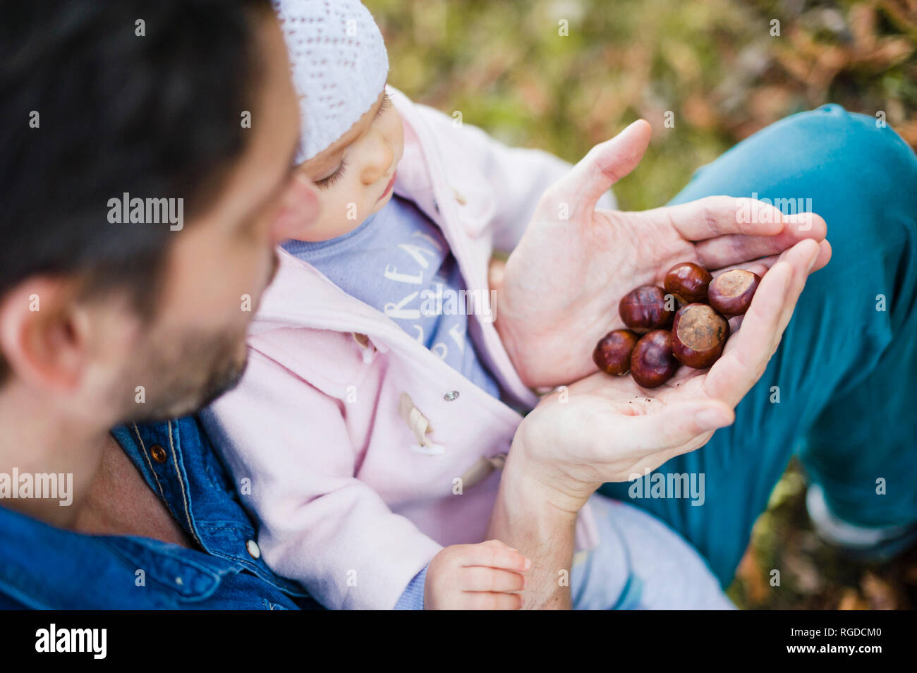 Vater auf der Suche nach Kastanien im Park, mit Baby auf dem Schoß Stockfoto