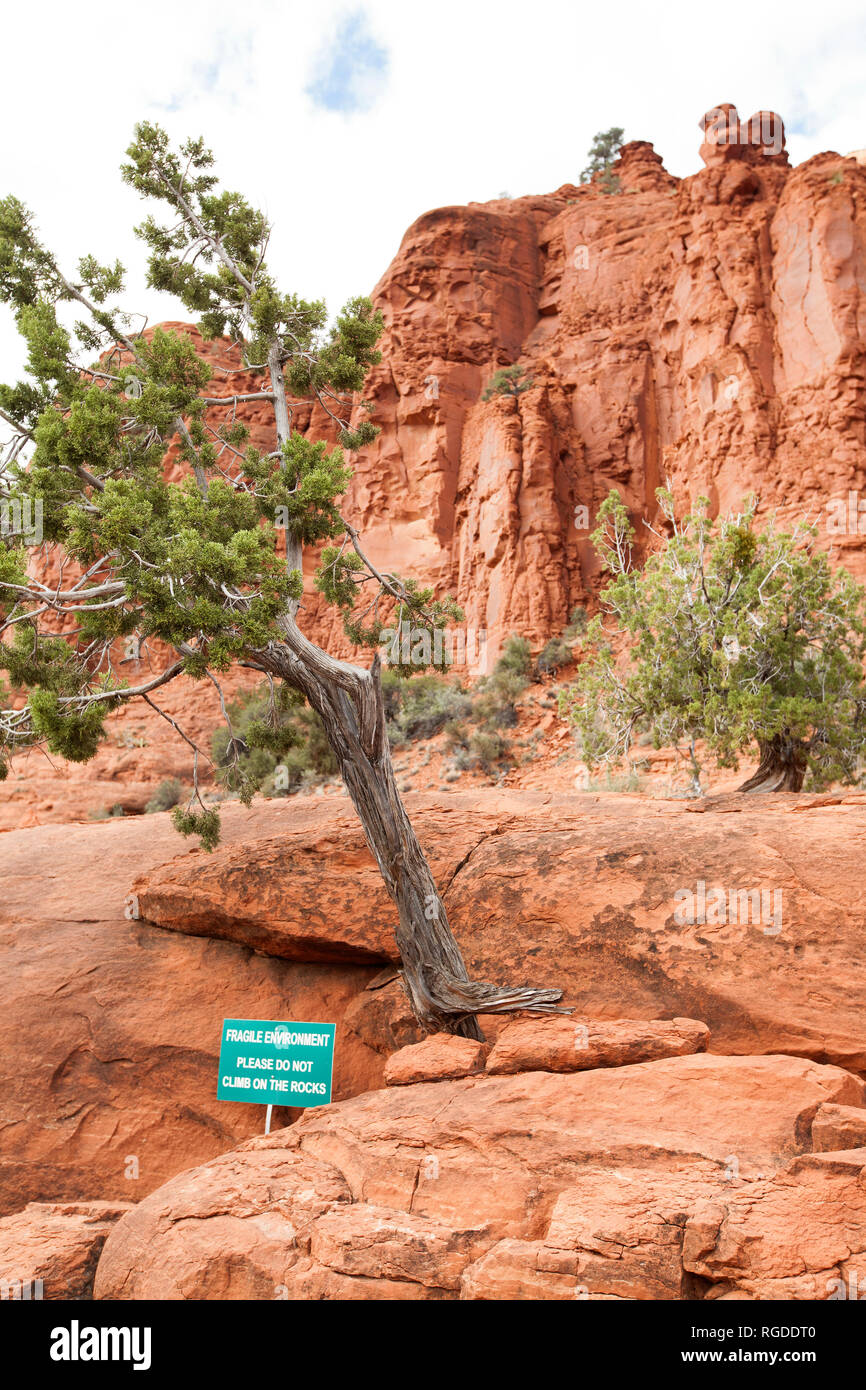 Schild, empfindliche Umwelt und nicht die Felsen climbon im Sedona Arizona Stockfoto