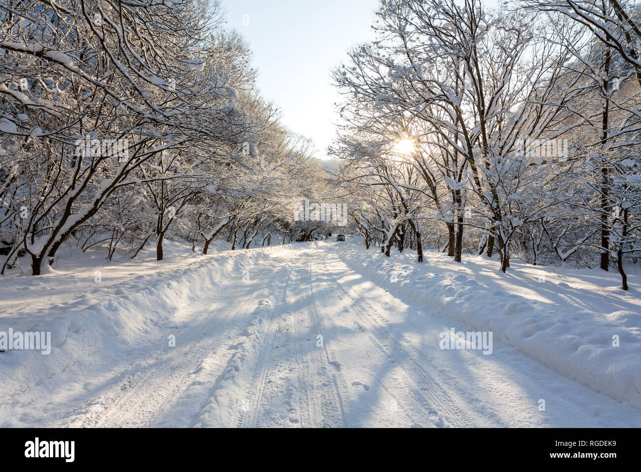 Schöne Winterlandschaft in Naejangsan Nationalpark, Südkorea. Stockfoto