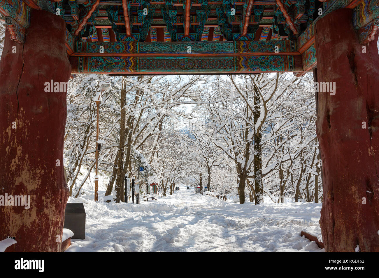 Schöne Winterlandschaft in Naejangsan Nationalpark, Südkorea. Stockfoto