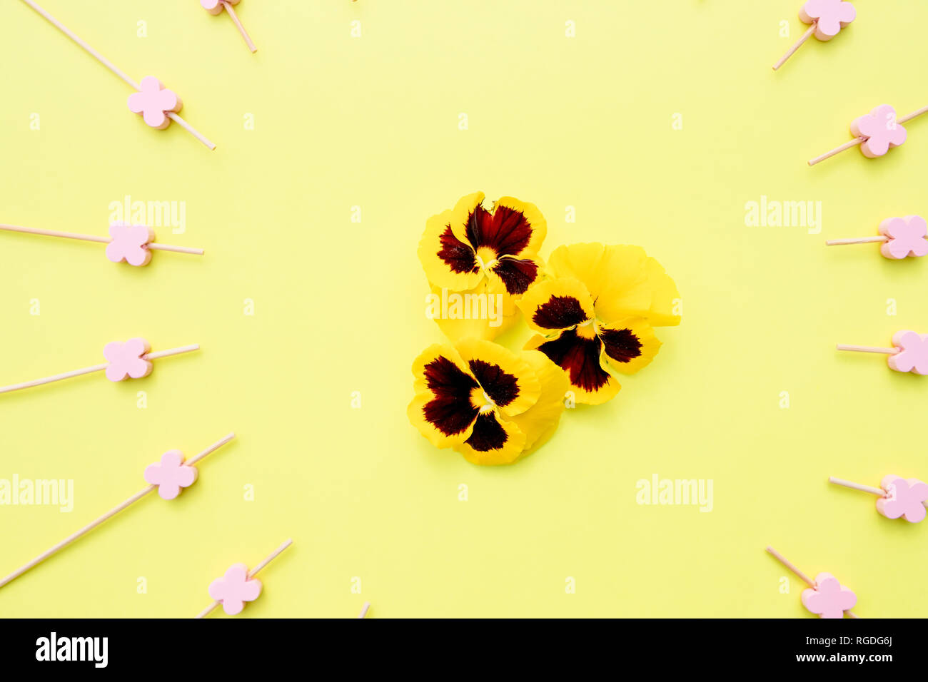 Nahtlose Hintergrund mit Sommerblumen. wunderschöne Muster mit niedlichen Stiefmütterchen Blumen. Floral background für Textilien, Tapeten, musterfüllungen, Abdeckungen Stockfoto