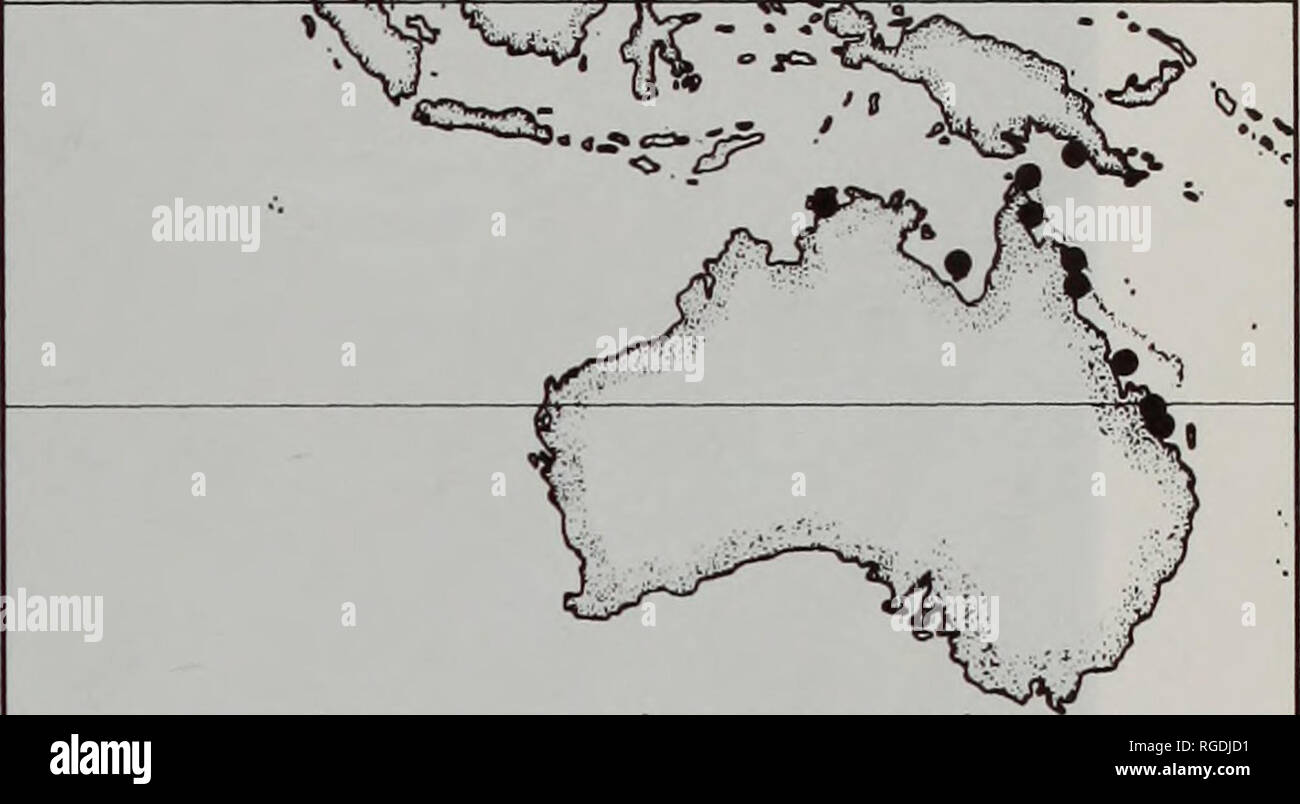 . Bulletin des Natural History Museum Zoologie. V? 05 = s - * "^ •'. Abb. 17 Geografische Verteilung der Cardiolucina quadruta (M). (1982, Abb. 19) wird hier als lectotype bezeichnet. Der holotypus von Dentilucina (Bellucina) macassari Prashad ist ZMA, reg. Anzahl 3.32.090 (Abb.. 21 c&AMP;d). Art Lokalität. C. semperiana von Suez, Rotes Meer. C. macassari aus Makassar, Südsulawesi, Indonesien (Siboga Expediton sta- 71). Shell Beschreibung. Shell solid, Klein, Höhe bis maximal 7,7 mm, sub-Rundschreiben in H/L, 0,98; aufgeblasen, T/L, 0,46, tumidity einzelner Ventil t Stockfoto