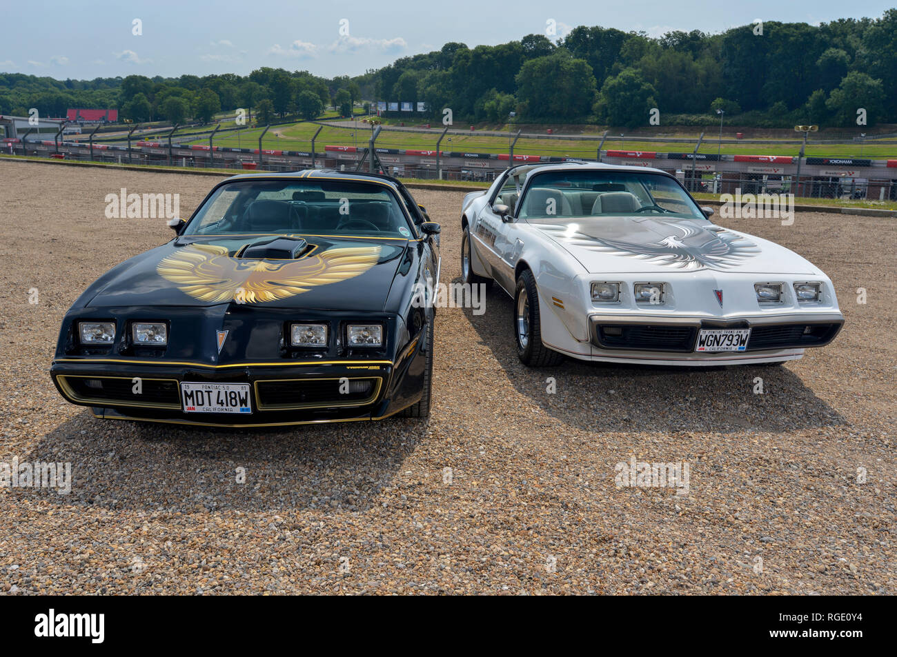 1980 Pontiac Trans Am, Schwarz und Weiß 1981 Trans Am Turbo - klassische amerikanische Sportwagen Stockfoto