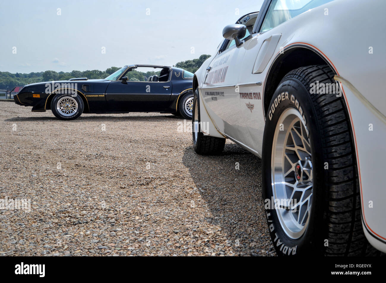 1980 Pontiac Trans Am, Schwarz und Weiß 1981 Trans Am Turbo - klassische amerikanische Sportwagen Stockfoto